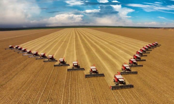 Twenty-two combine harvesters harvesting an industrial wheat field