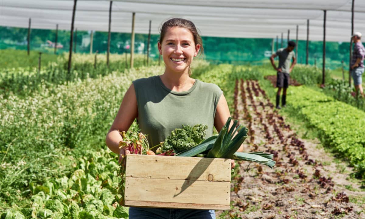 sustainable agriculture