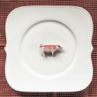 Pig standing on a dinner plate